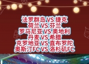 开云体育APP下载-丹麦队客场战平奥地利，晋级压力增大