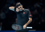 开云足球直播-德国网球队翻盘英国网球队，费德勒爆发神勇的简单介绍