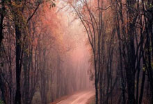 开云体育平台APP-印度羽毛球队完胜韩国羽毛球队，谌龙爆发神勇的简单介绍