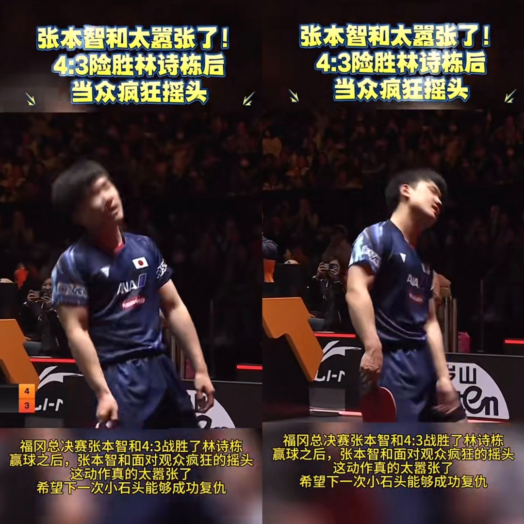 中国乒乓球队血洗法国乒乓球队，张本智和爆发神勇的简单介绍