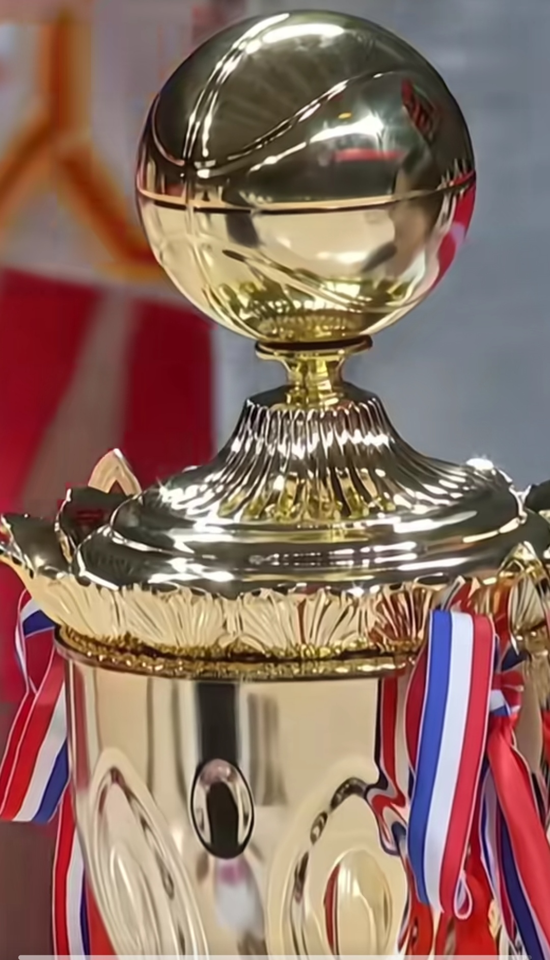 克罗地亚男子拳击选手赢得金牌