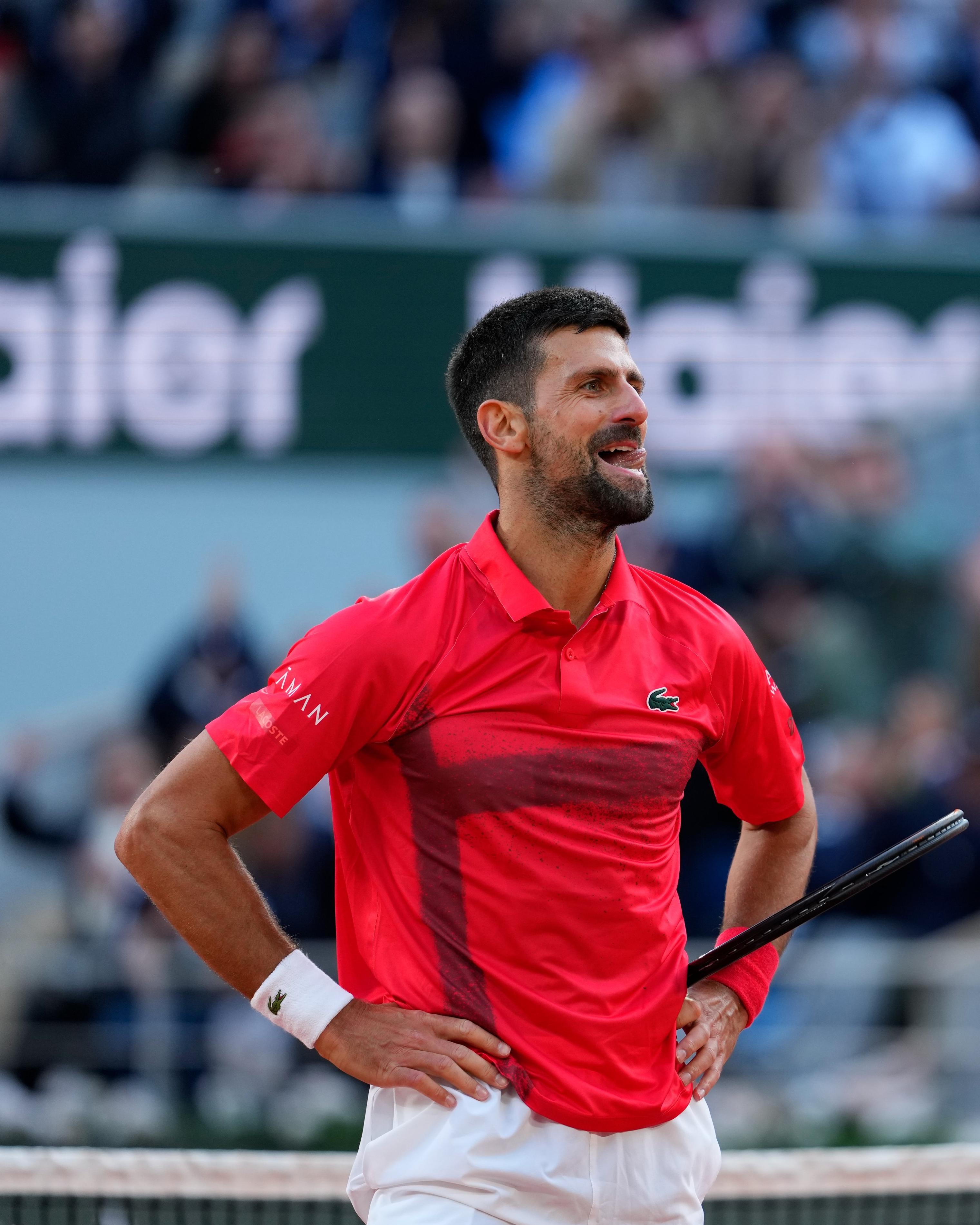 关于联合杯力克法网，德约科维奇扛起全队的信息