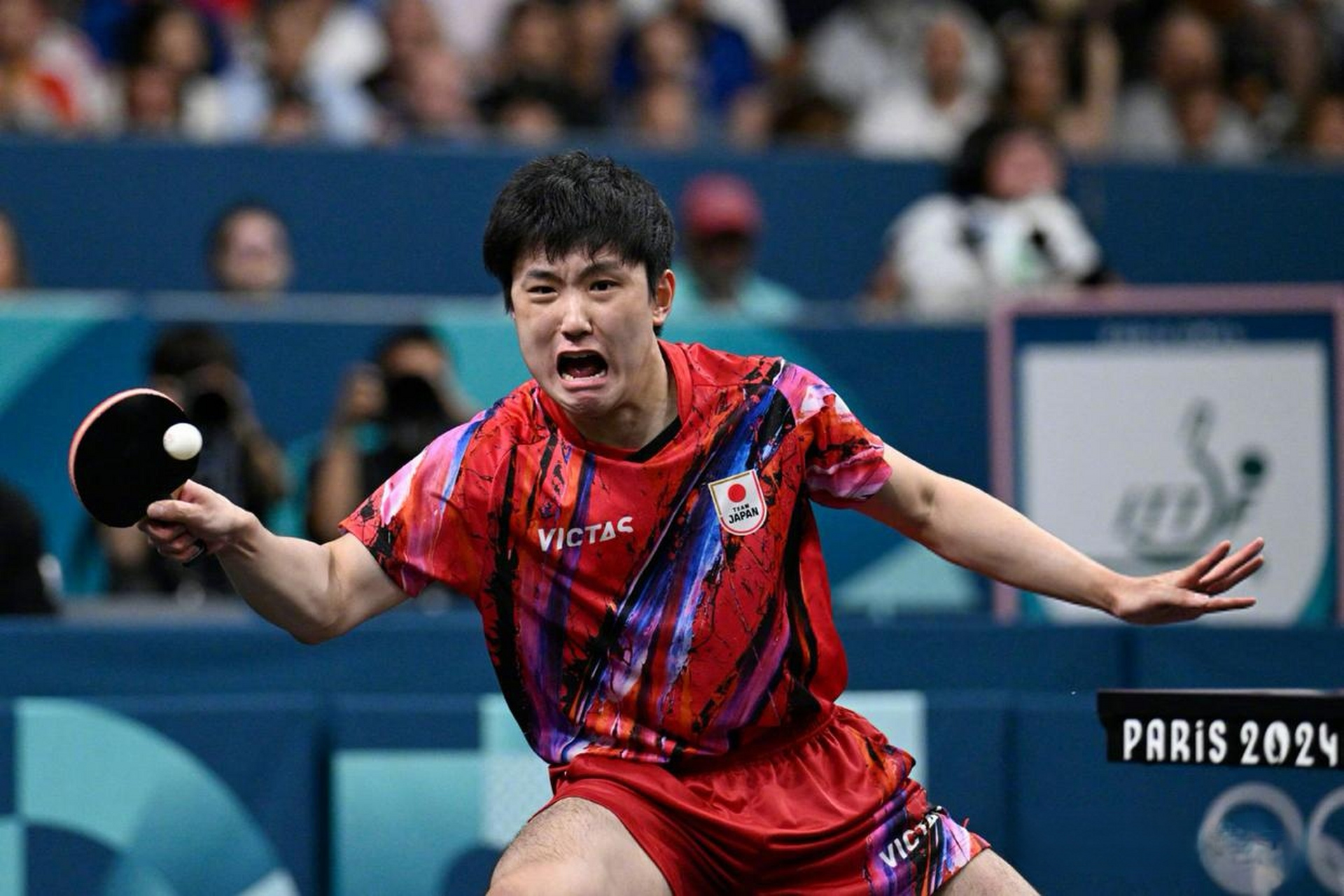 关于法国队完胜瑞典队，张本智和扛起全队的信息