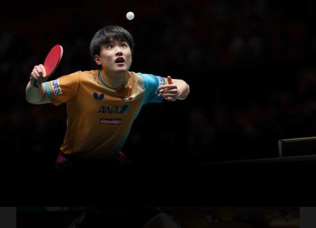 关于法国队完胜瑞典队，张本智和扛起全队的信息