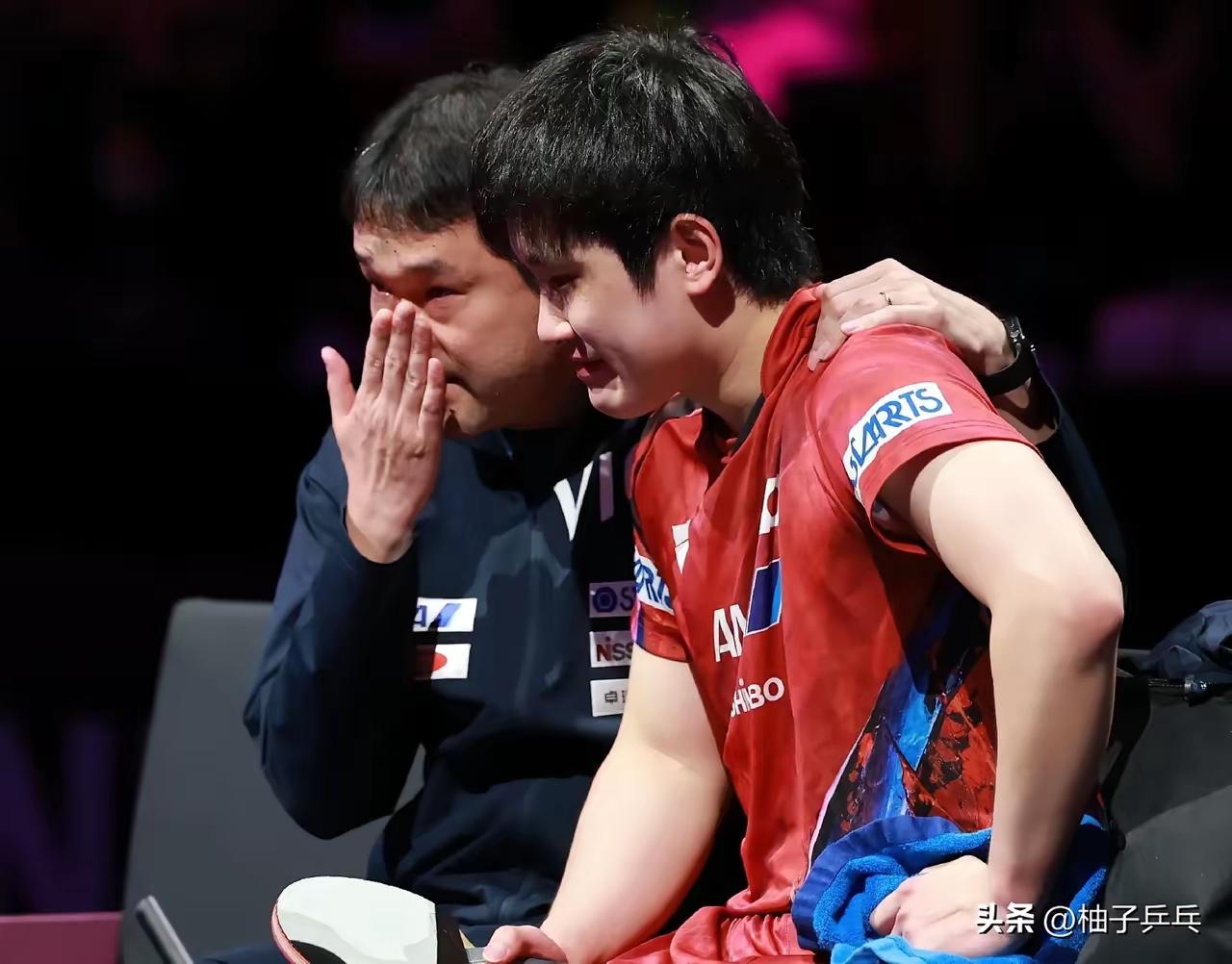 波兰队横扫日本队，张本智和扛起全队的简单介绍