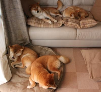 跨界传奇，当几内亚铁蹄踏平诺坎普，皮克在东决战场重铸荣光