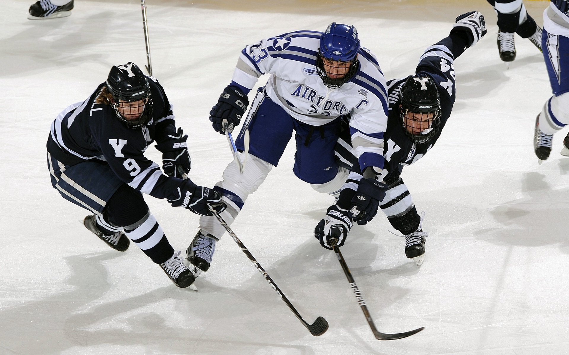 北境之王与东北虎的史诗对决,福克斯封神之夜